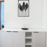 Oasis Luxe *
